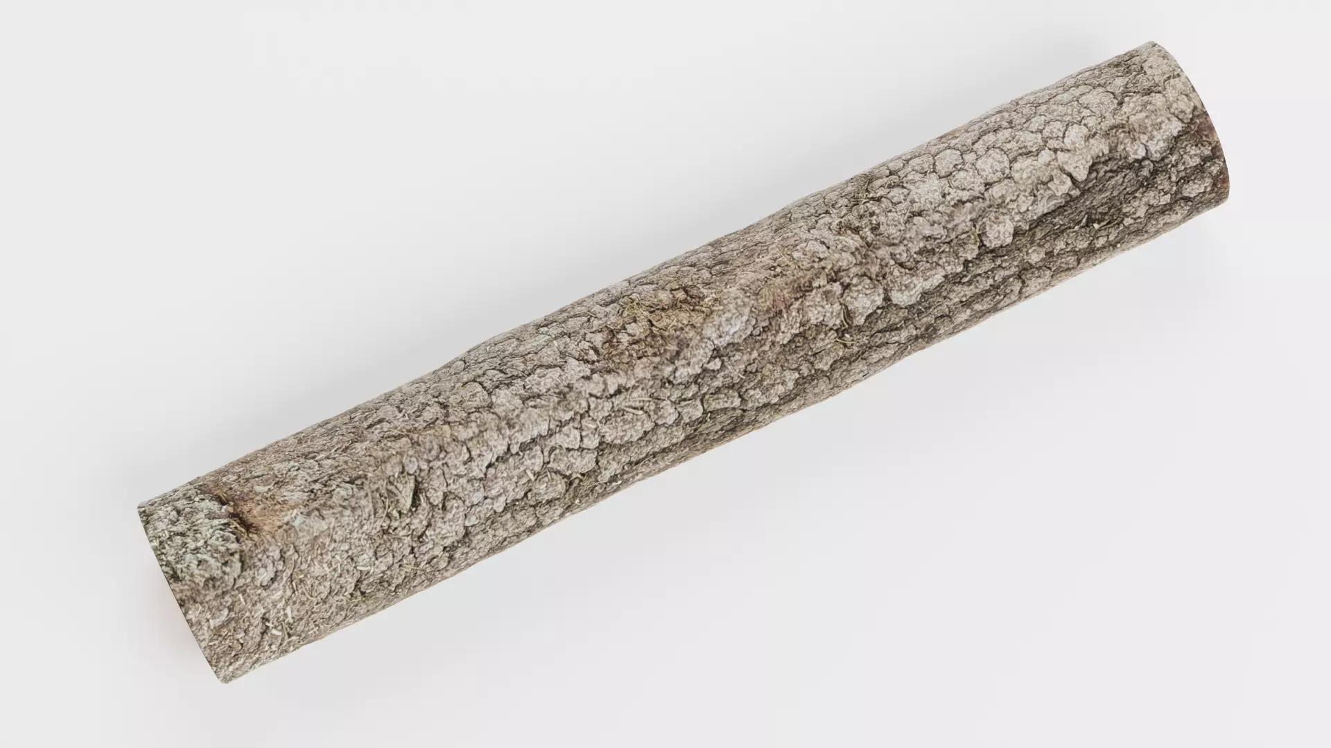 -Tree Log V3- Low-poly 3D model_5