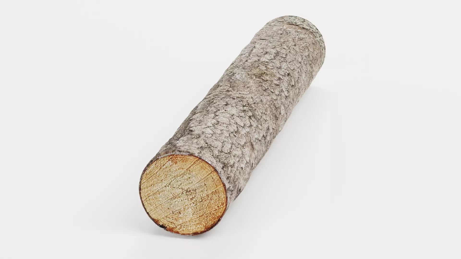 -Tree Log V3- Low-poly 3D model_3