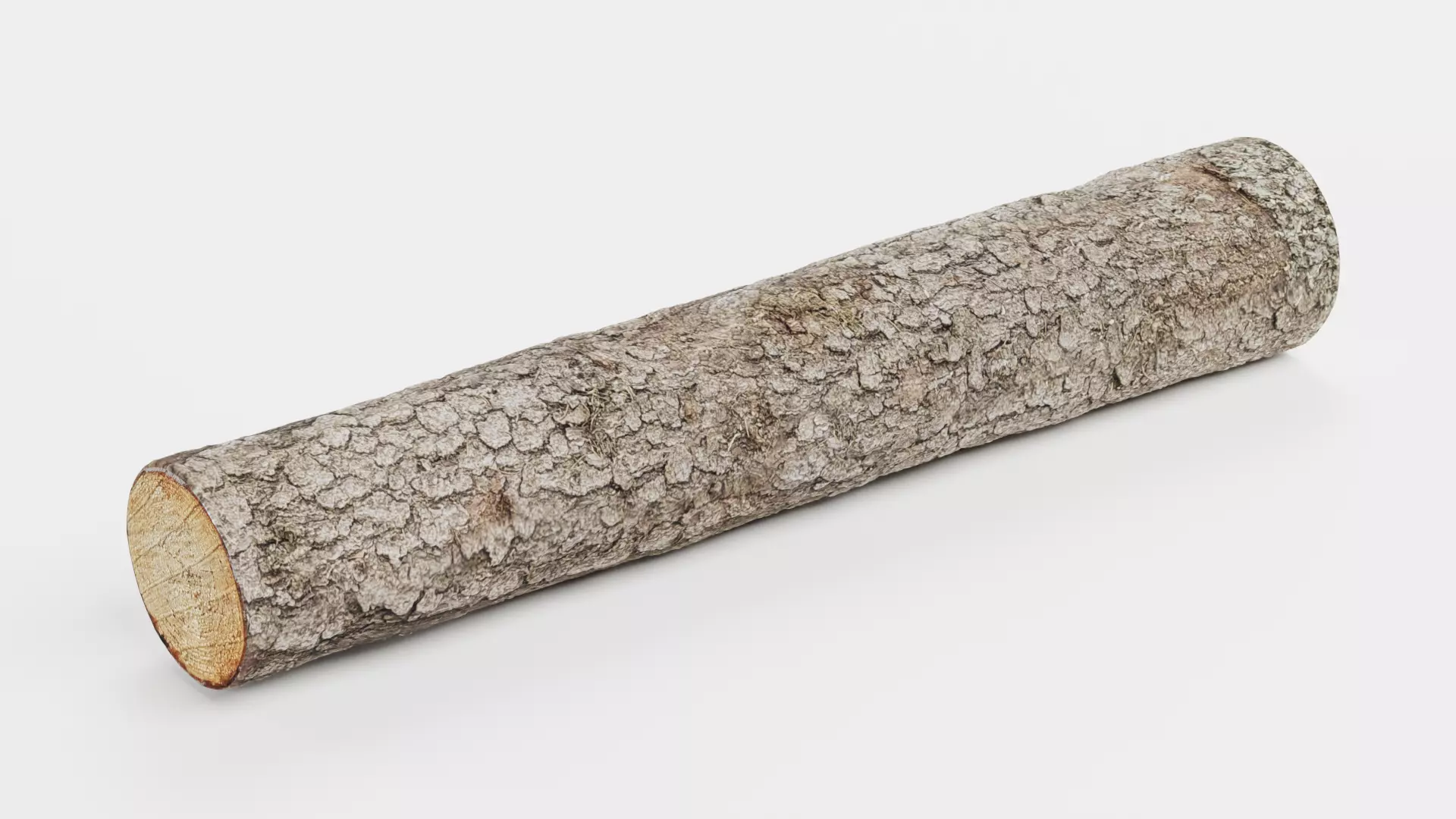 -Tree Log V3- Low-poly 3D model_2