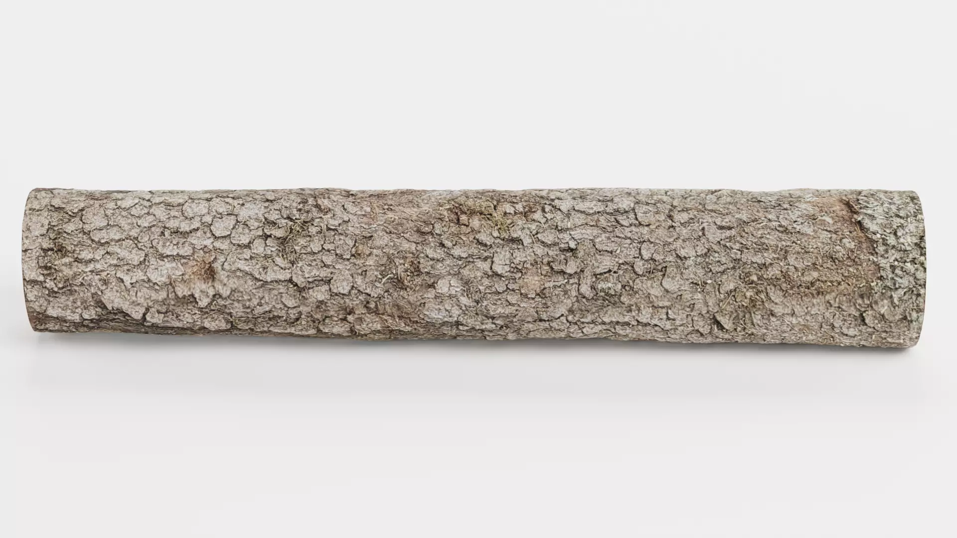 -Tree Log V3- Low-poly 3D model_1