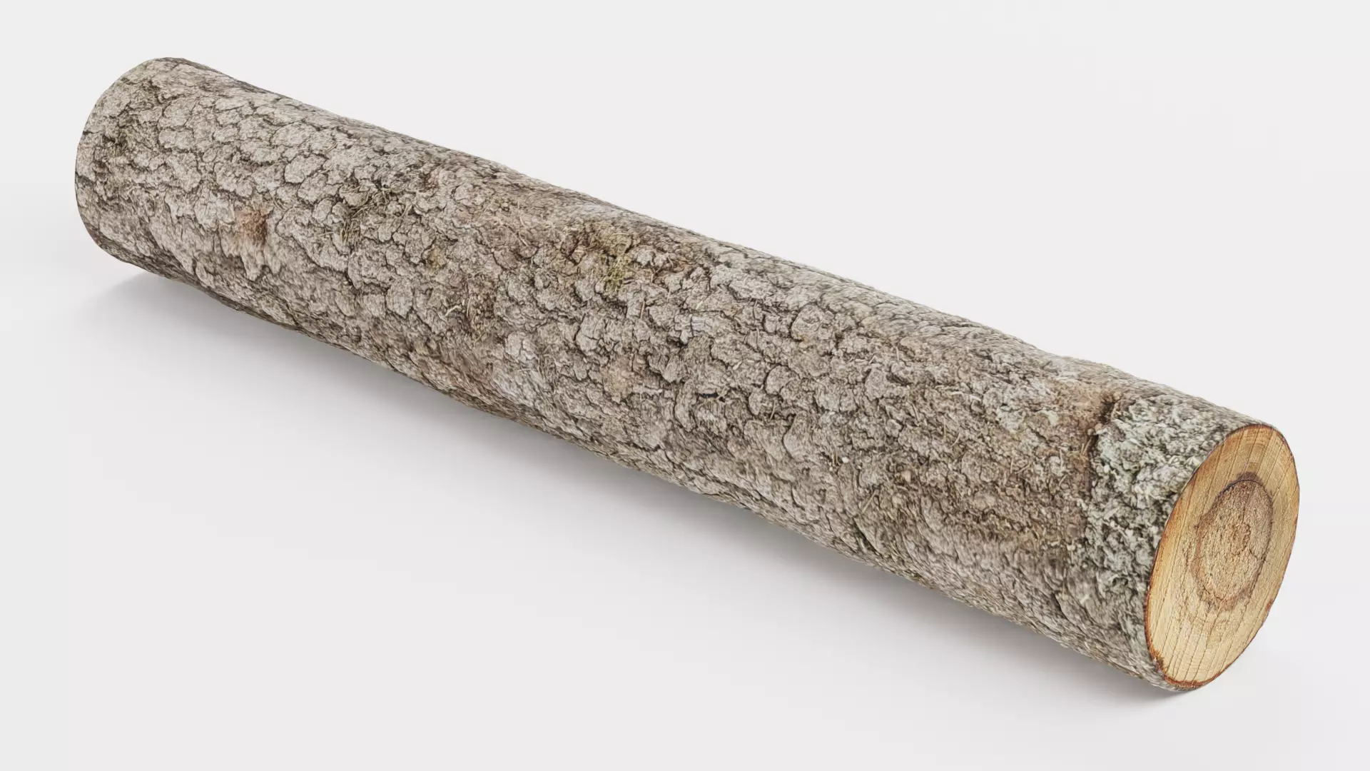 -Tree Log V3- Low-poly 3D model_0