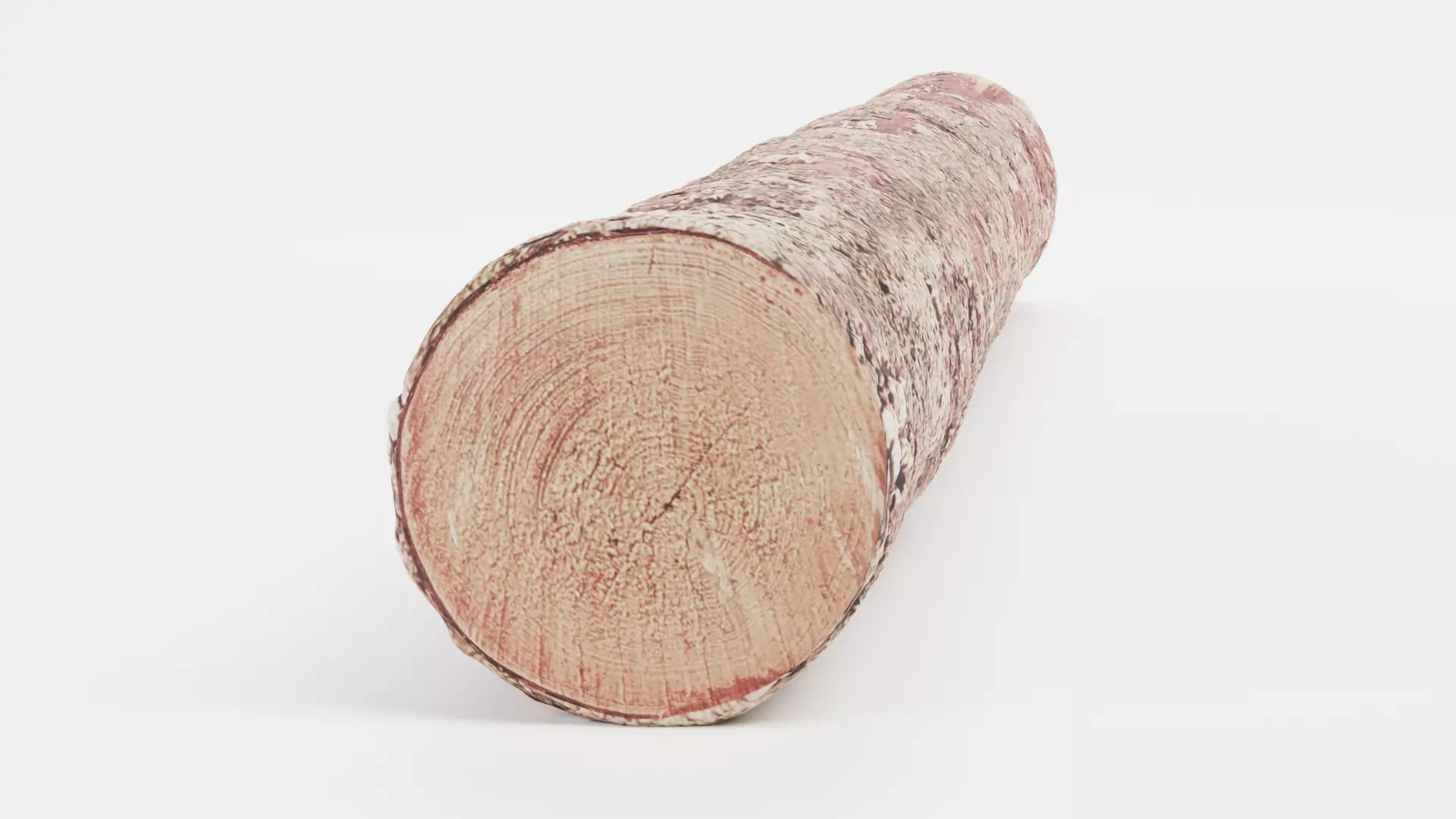 -Tree Log- V4- Low-poly 3D model_6