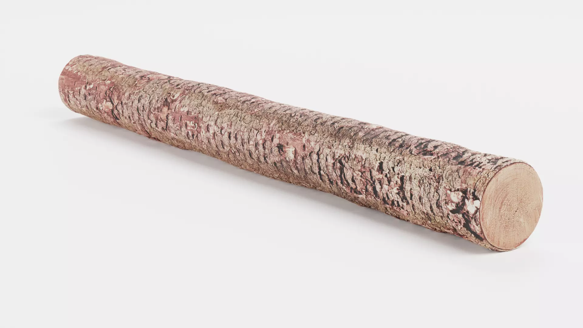 -Tree Log- V4- Low-poly 3D model_3