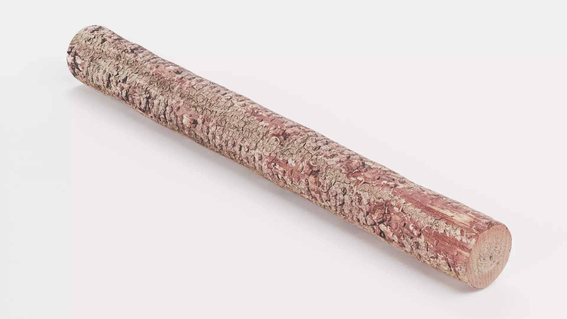 -Tree Log- V4- Low-poly 3D model_0