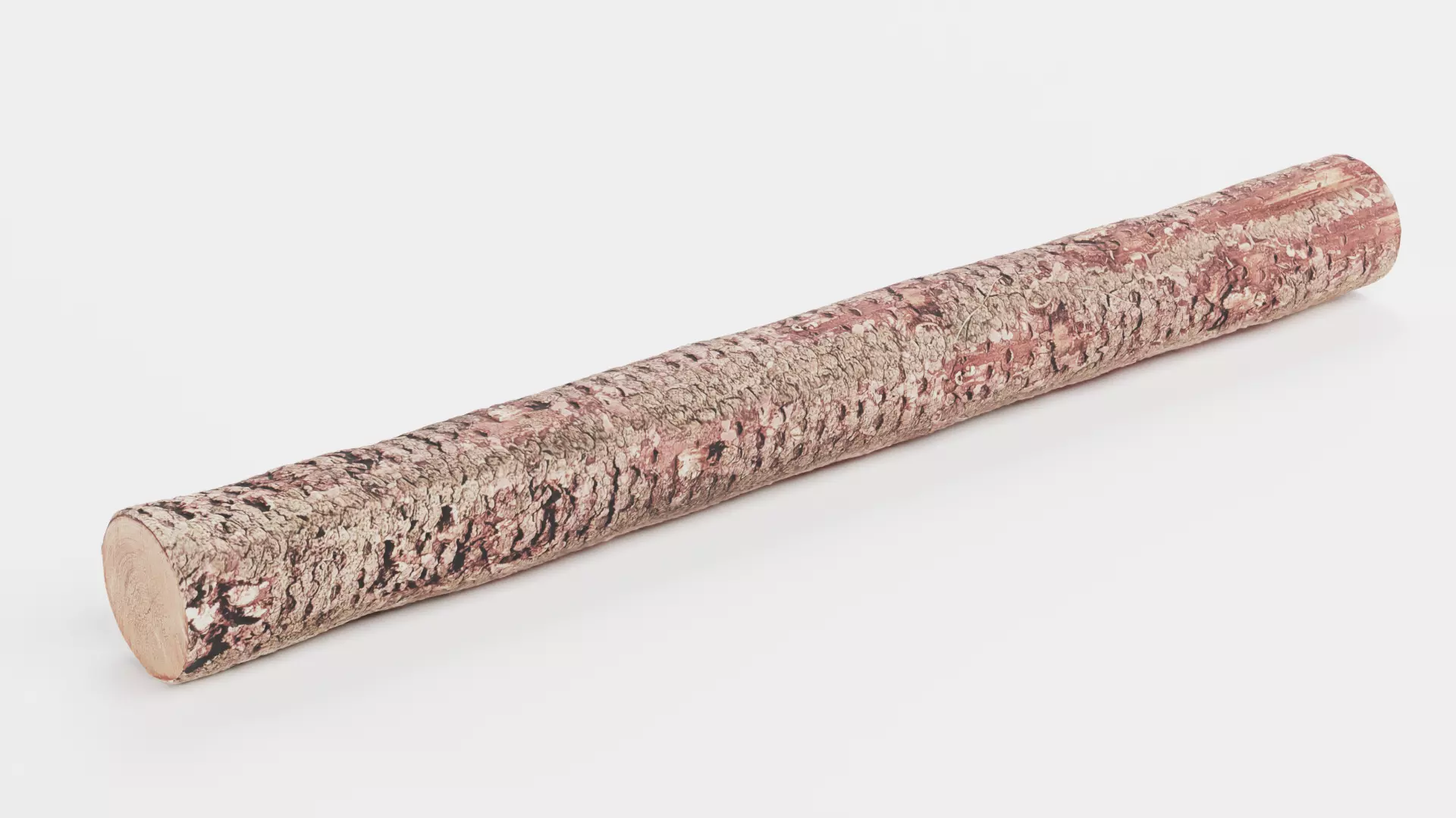 -Tree Log- V4- Low-poly 3D model_2