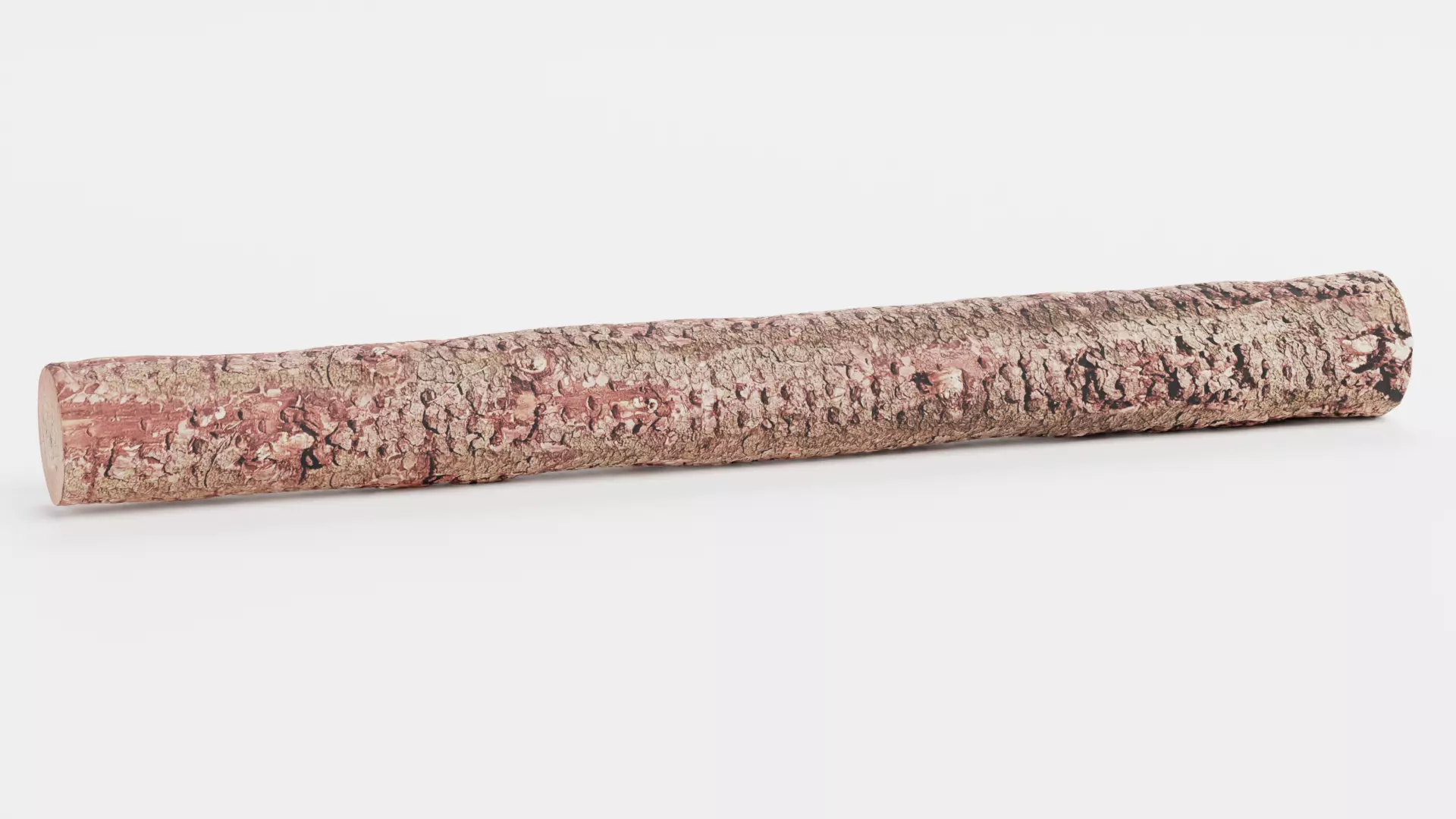 -Tree Log- V4- Low-poly 3D model_4