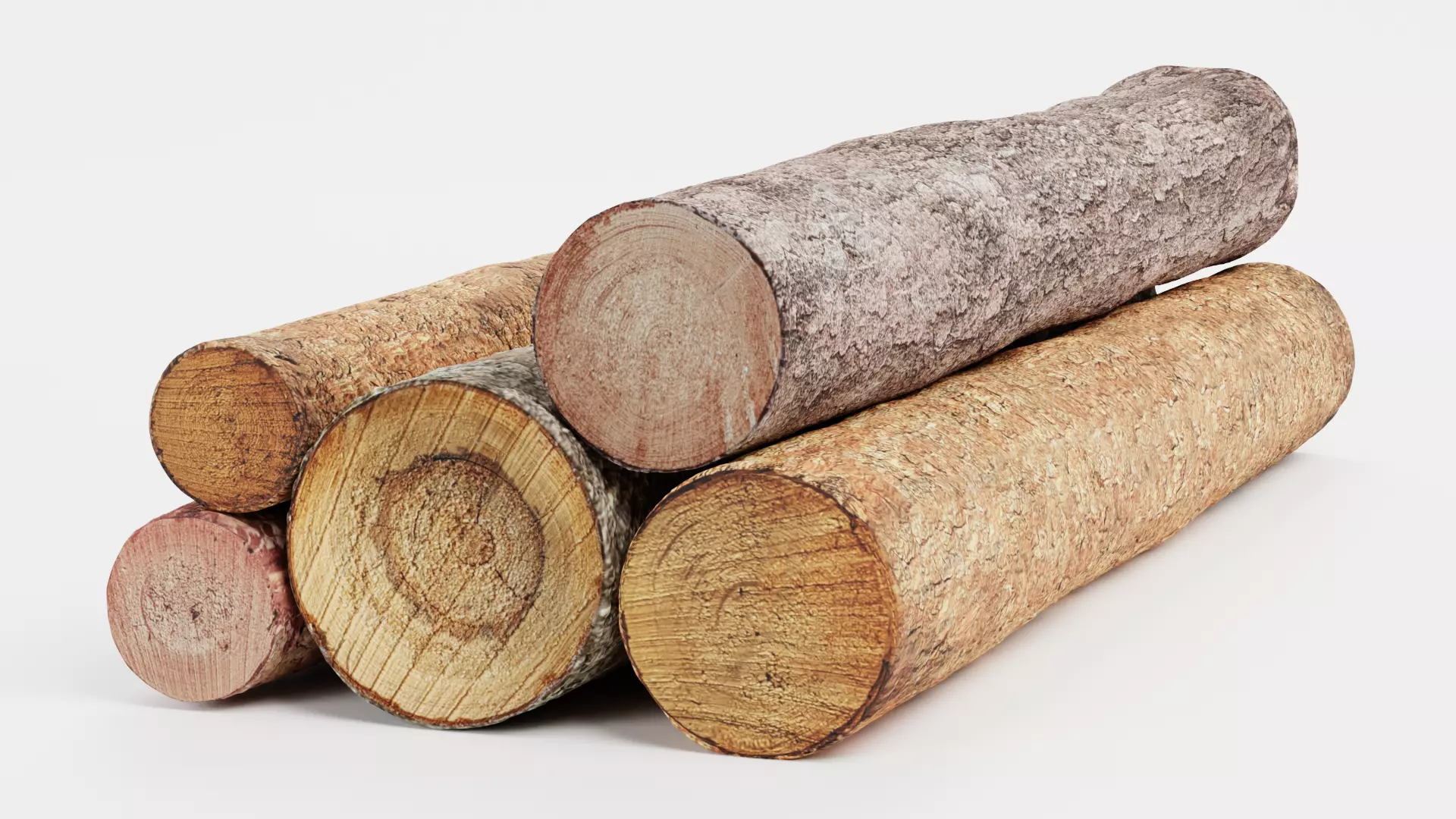 -Tree Logs V4- Low-poly 3D model_4