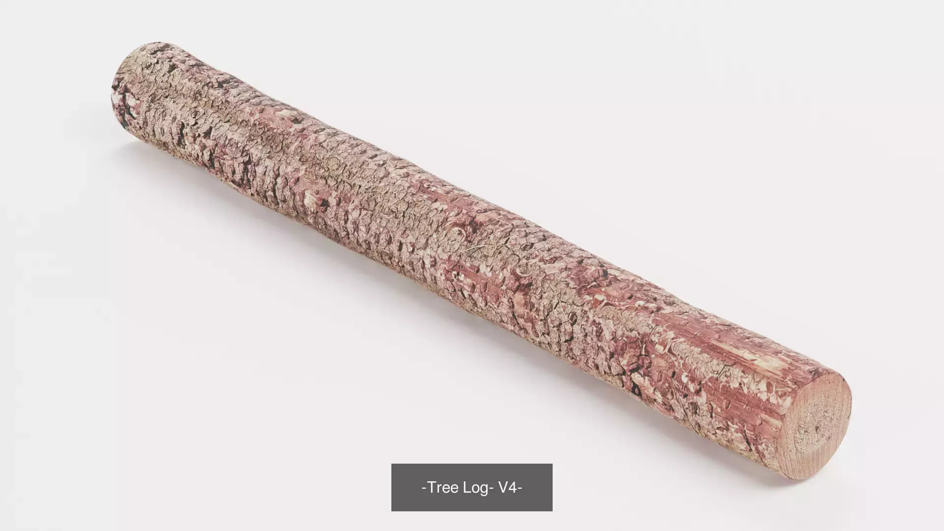 -Tree Logs- 3D Model Collection_4