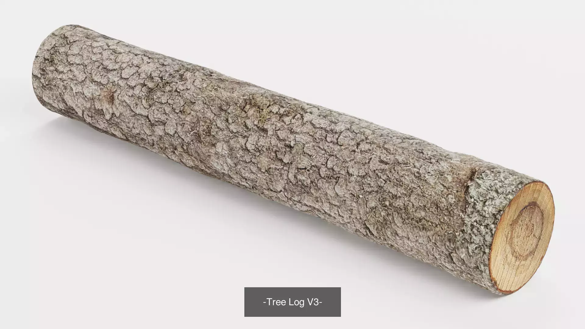 -Tree Logs- 3D Model Collection_3