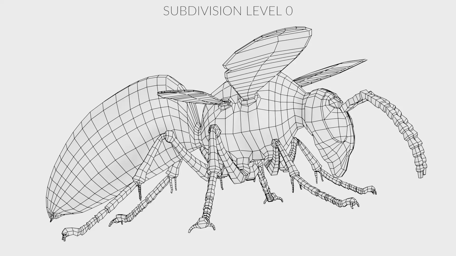 -Asian Giant Hornet - 3D model_14