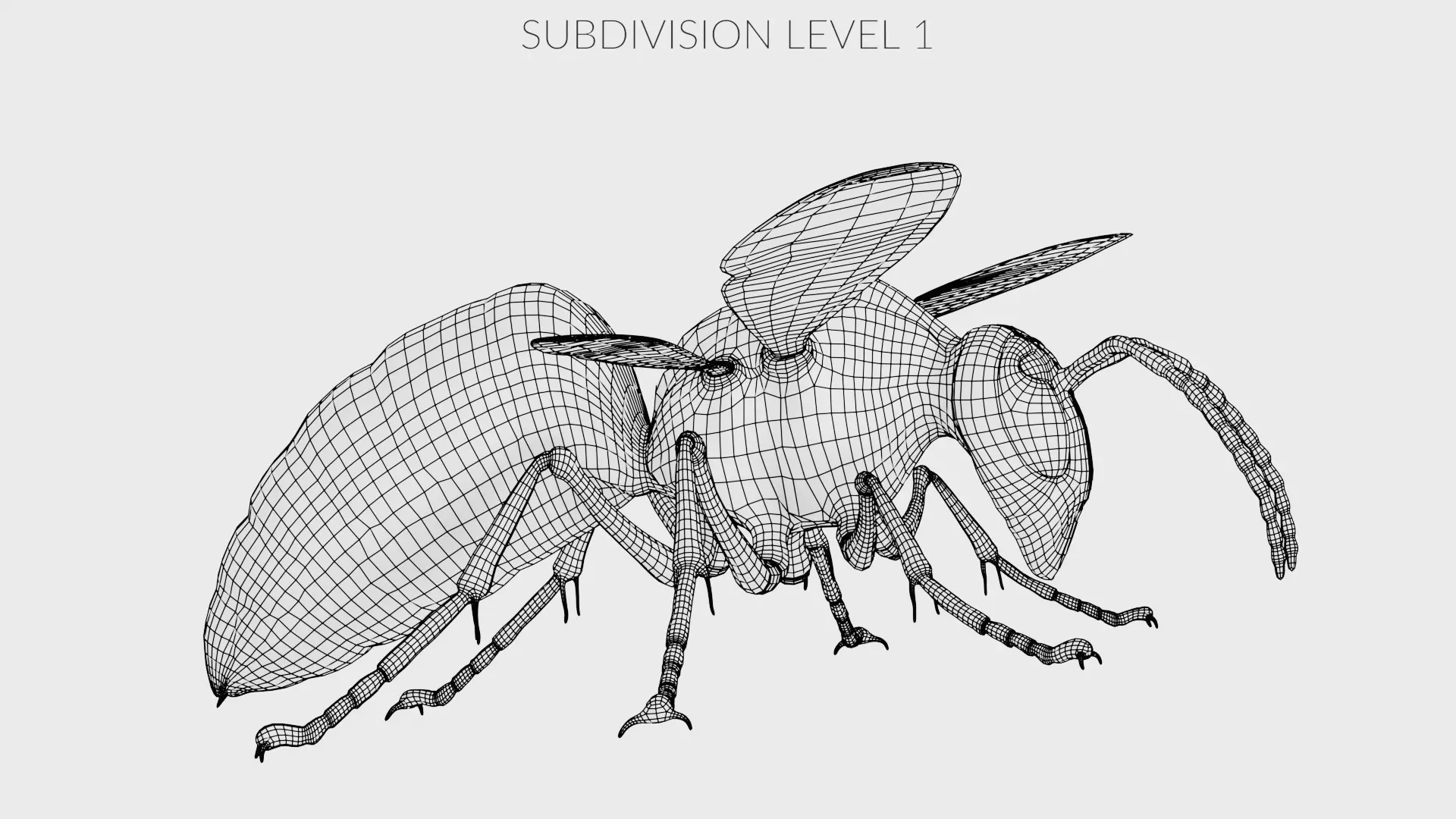 -Asian Giant Hornet - 3D model_15