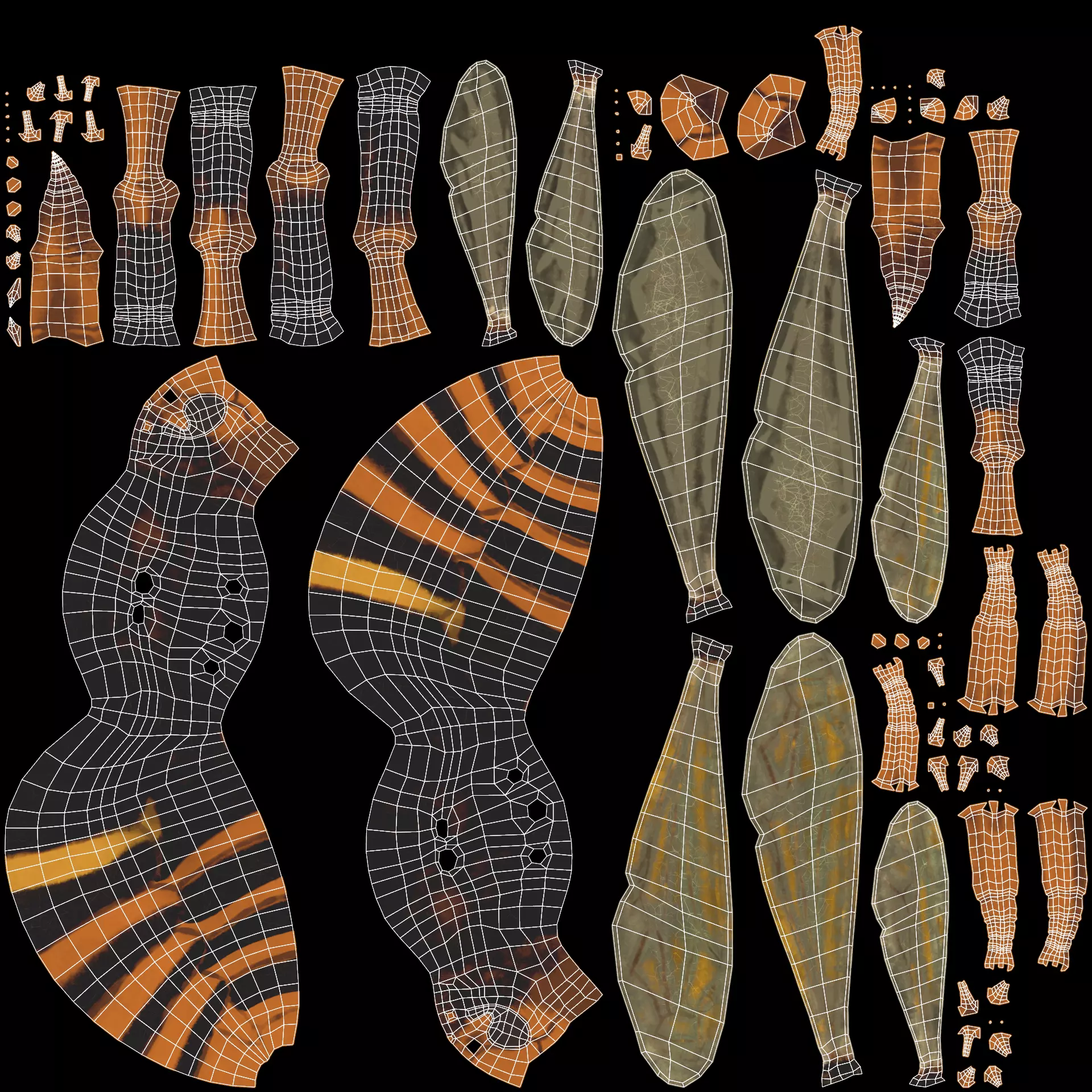 -Asian Giant Hornet - 3D model_11