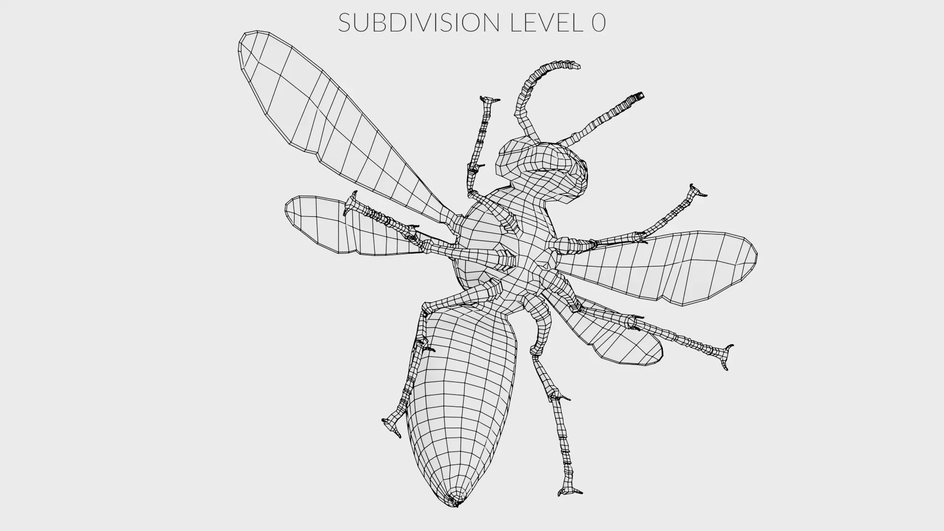 -Asian Giant Hornet - 3D model_16