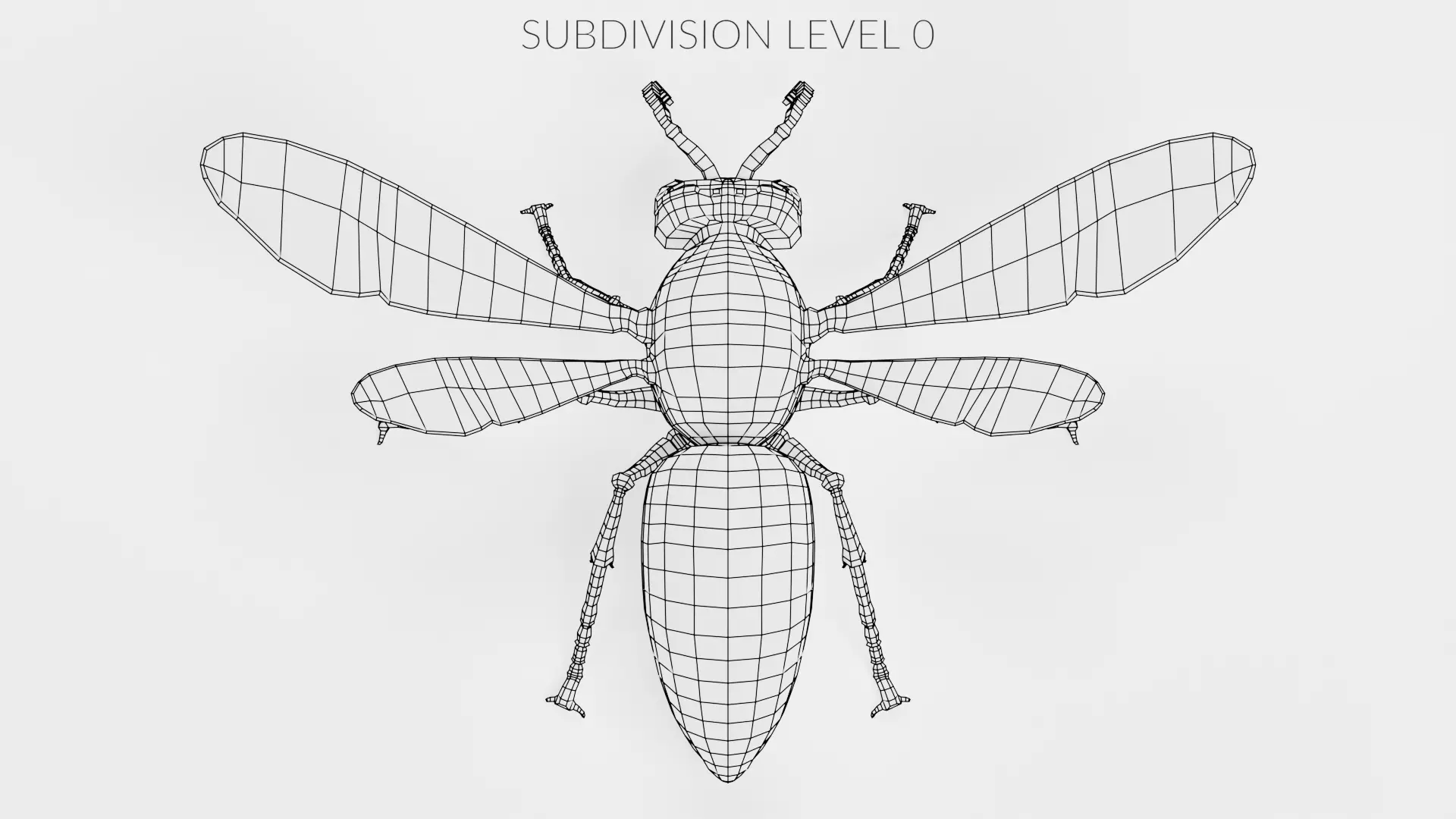 -Asian Giant Hornet - 3D model_12