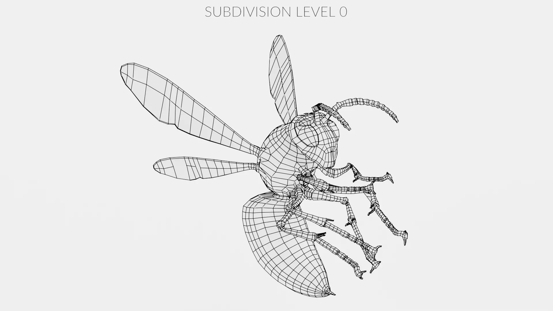 -Asian Giant Hornet -Vespa Mandarinia - Rigged- 3D model_11