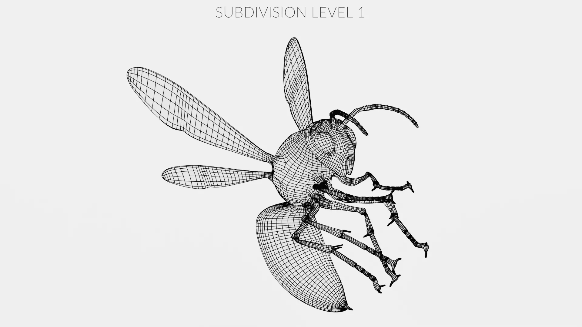 -Asian Giant Hornet -Vespa Mandarinia - Rigged- 3D model_12