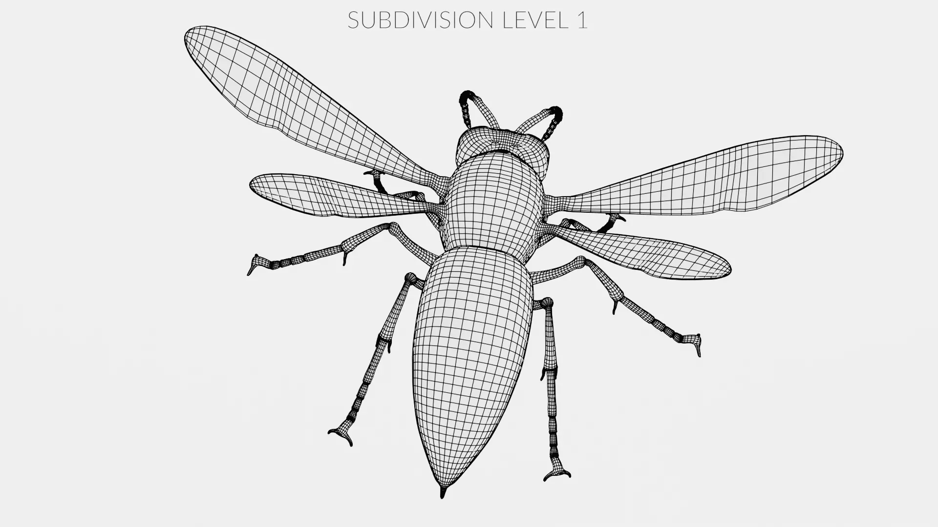 -Asian Giant Hornet -Vespa Mandarinia - Rigged- 3D model_14