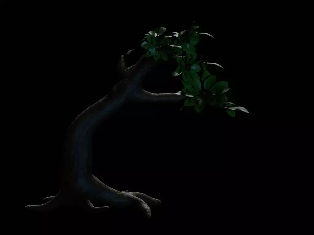 Realistic Tree 3D Model  Game Ready  PBR Textured Low-poly 3D model_9