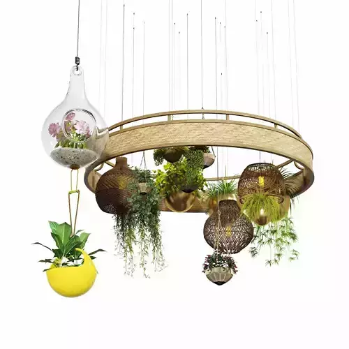 Hanging plant collecetion