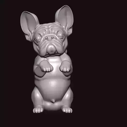 french bull dog body