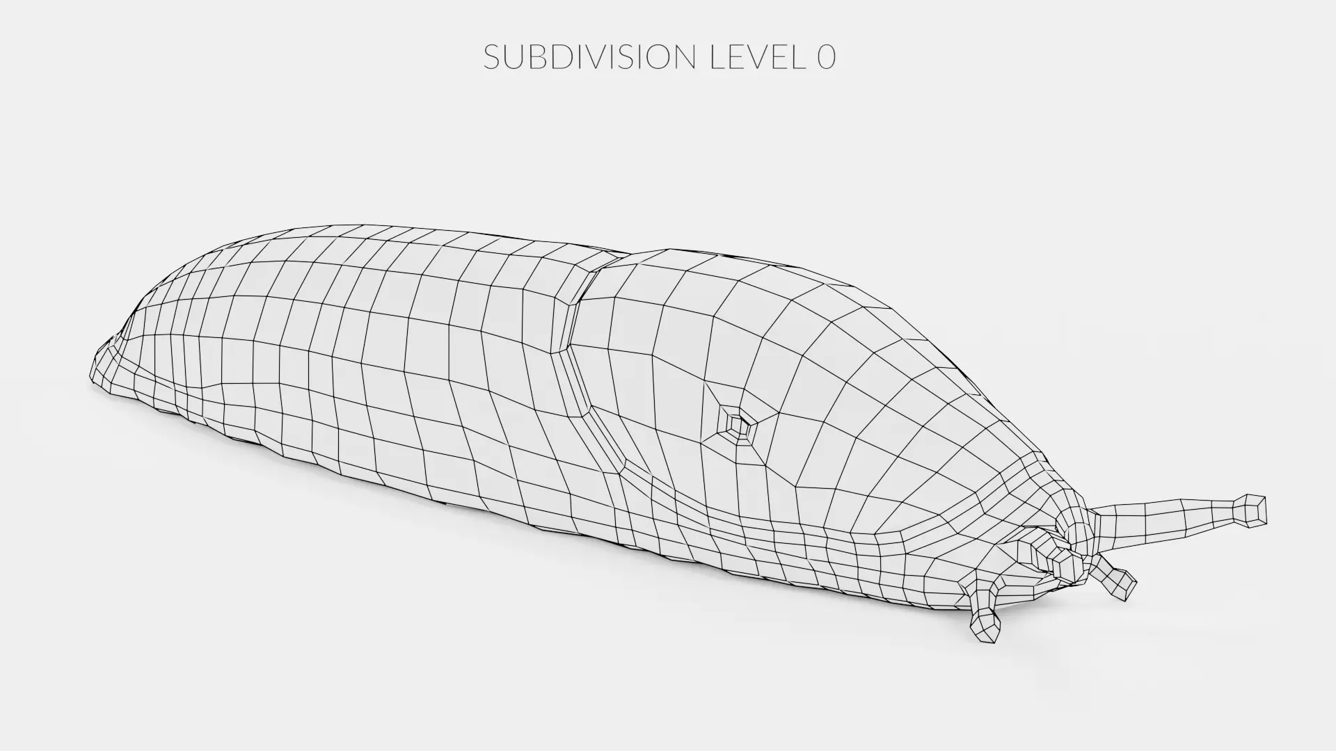 -Black Slug - Arion Ater -Rigged- Low-poly 3D model_14