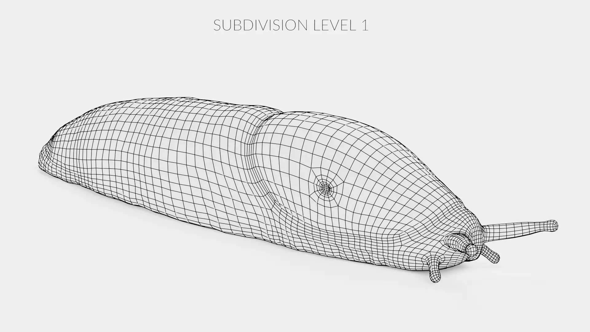 -Black Slug - Arion Ater -Rigged- Low-poly 3D model_15