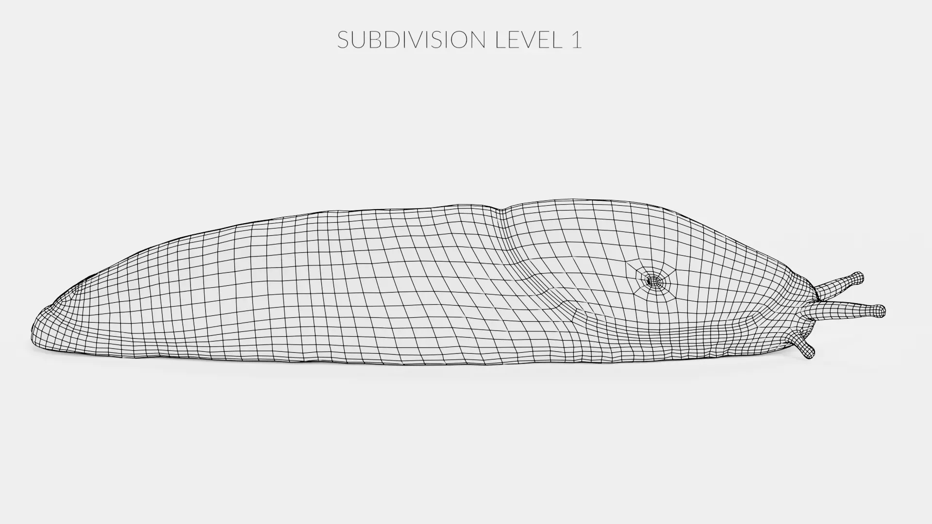 -Black Slug - Arion Ater -Rigged- Low-poly 3D model_13