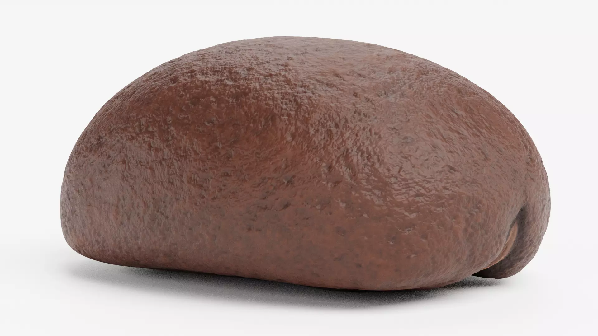 -Coffee Bean- 3D model_5