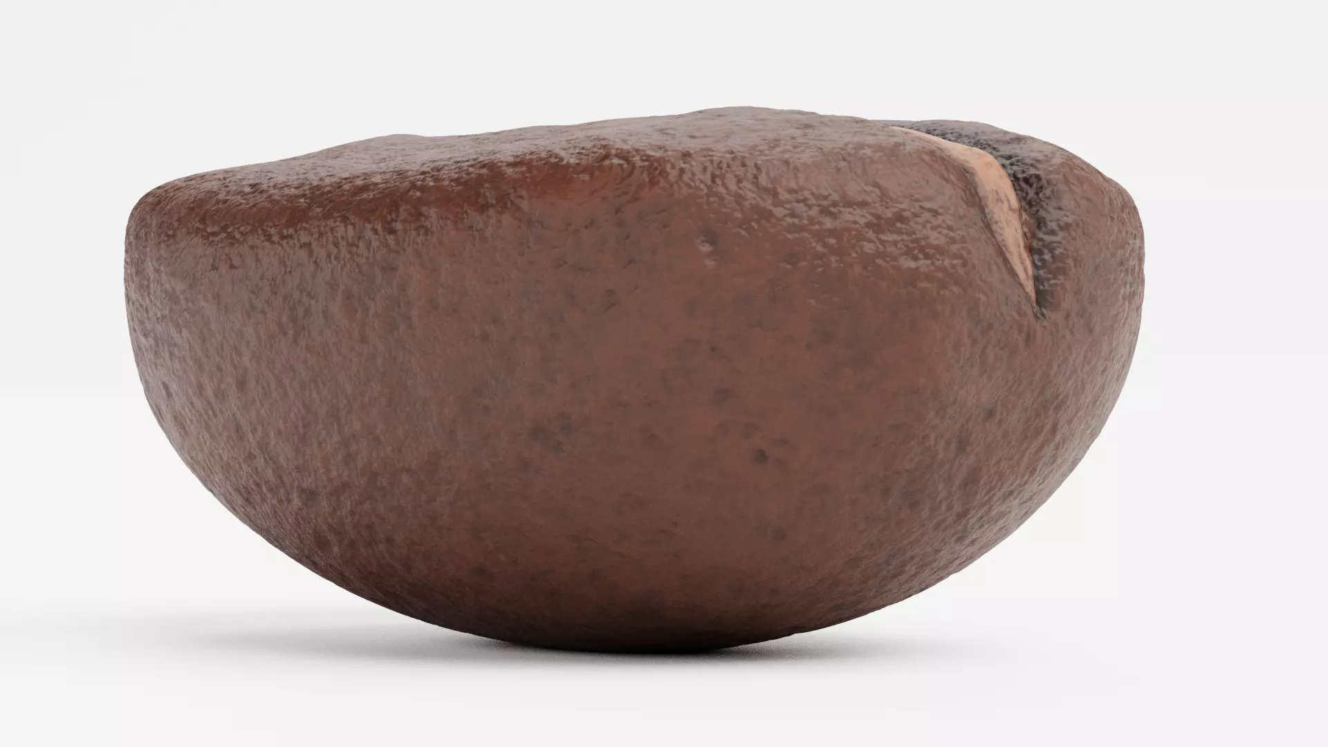 -Coffee Bean- 3D model_4