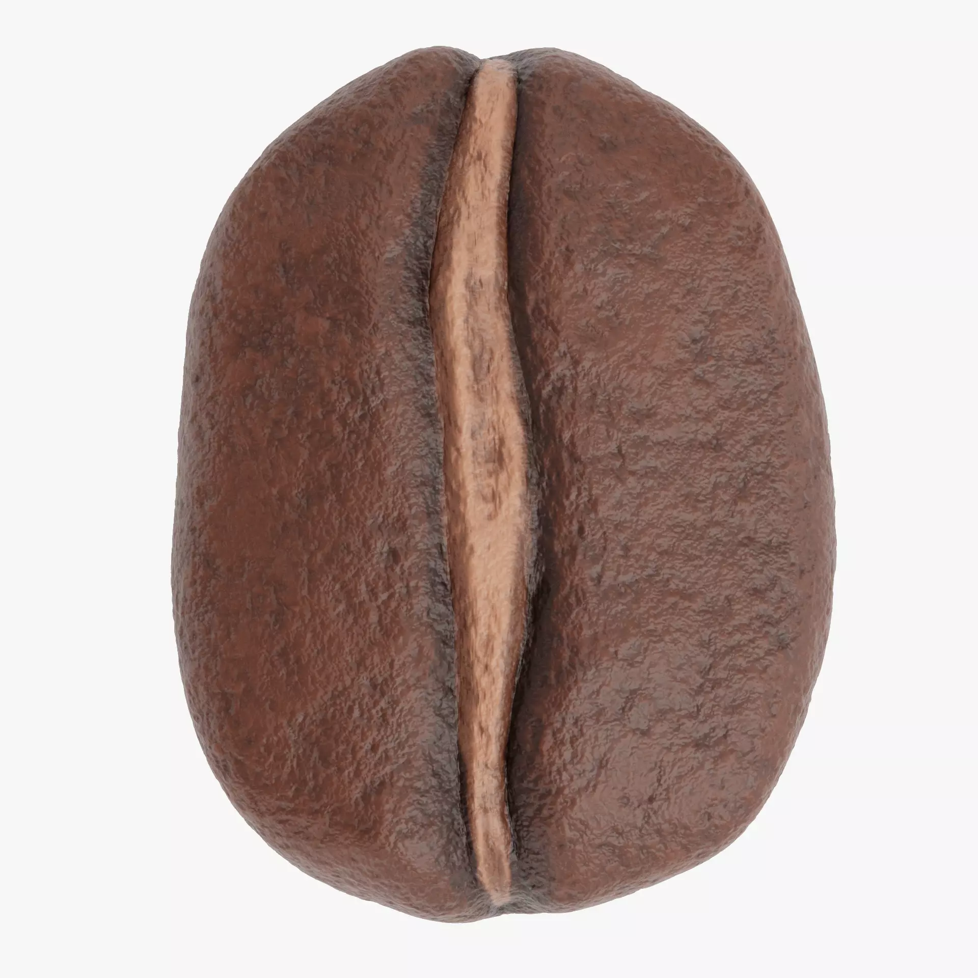 -Coffee Bean- 3D model_13