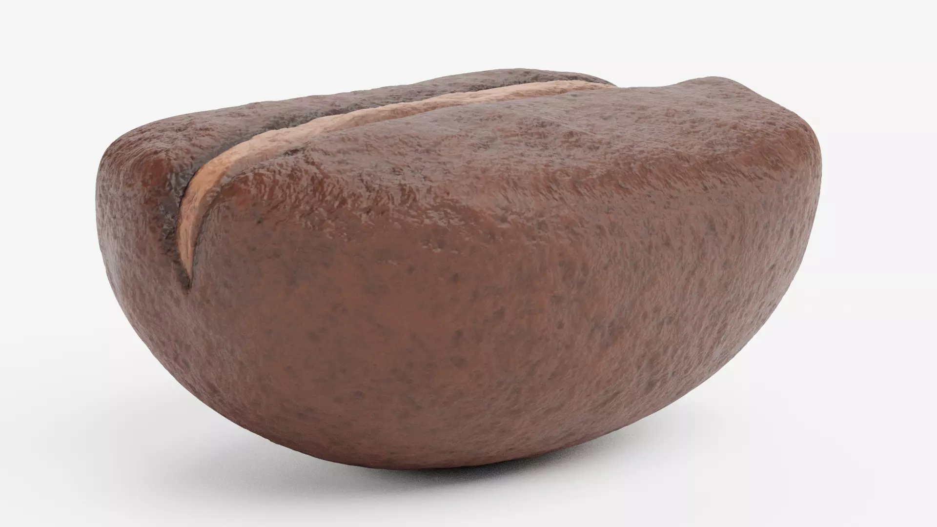 -Coffee Bean- 3D model_3