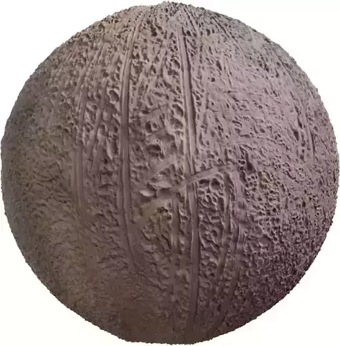 Rugged Beach Sand with Tire Tracks  Texture