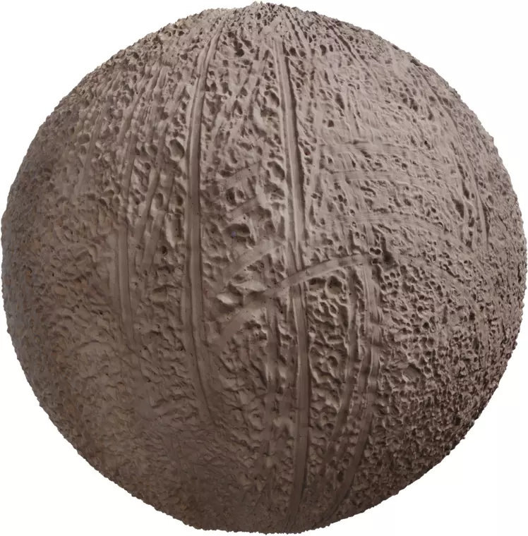 Rugged Beach Sand with Tire Tracks  Texture_0