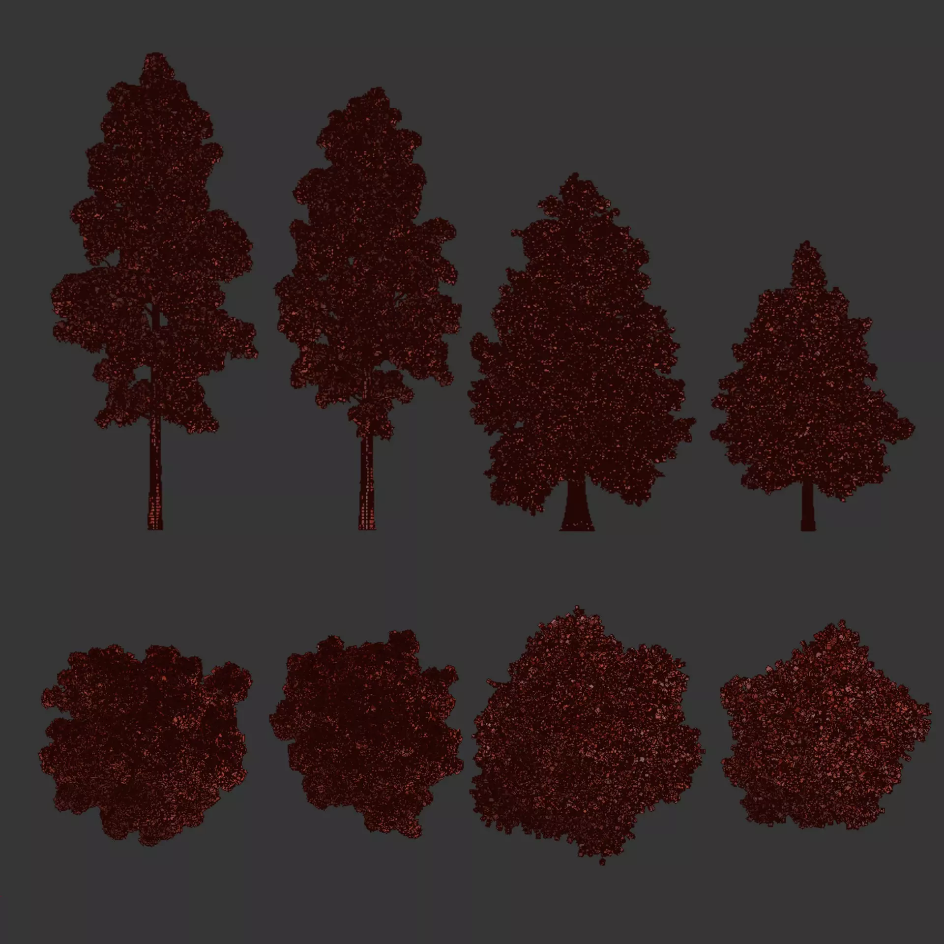 Conifer Trees Collection Vol 346  3D model_5