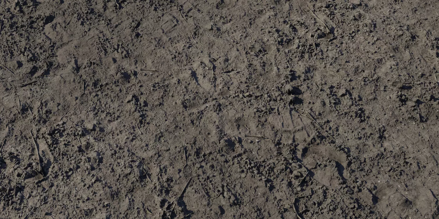 Compacted Muddy Soil with Twigs Texture_1