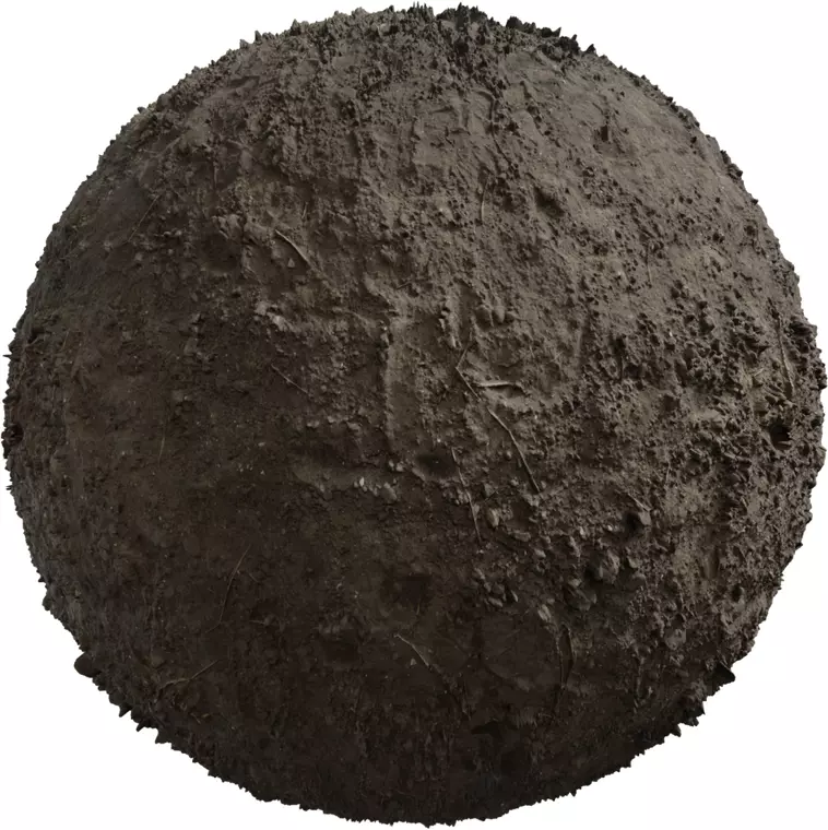 Compacted Muddy Soil with Twigs Texture_0