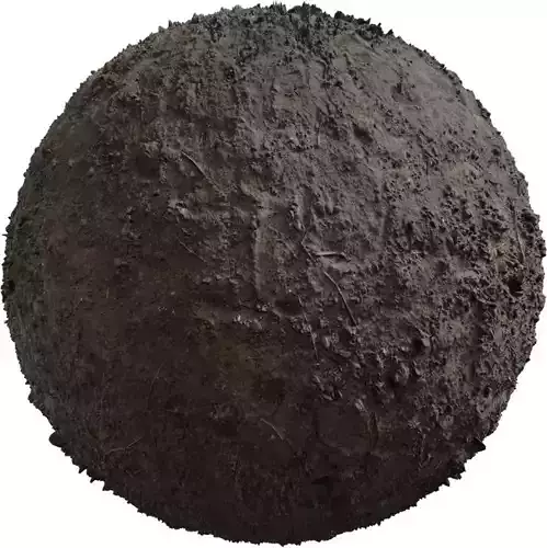 Compacted Muddy Soil with Twigs Texture Compacted Muddy Soil with Twigs Texture