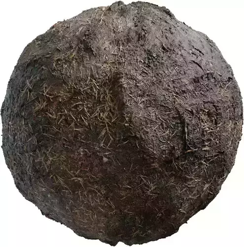 Wet Barnyard Mud with Straw Texture Wet Barnyard Mud with Straw Texture