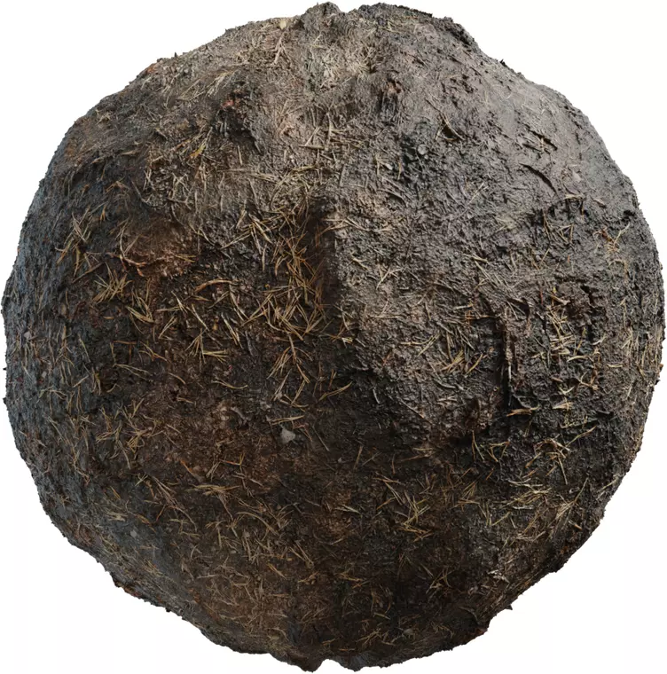 Wet Barnyard Mud with Straw Texture_0