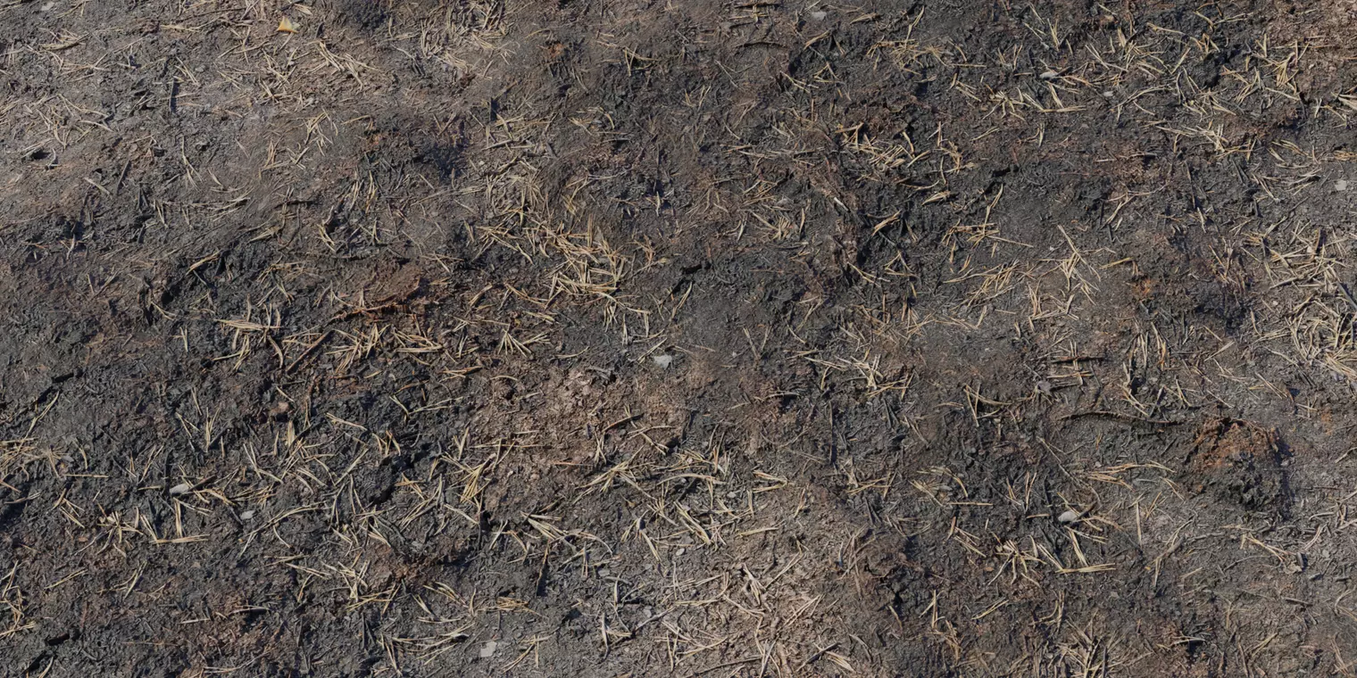 Wet Barnyard Mud with Straw Texture_1