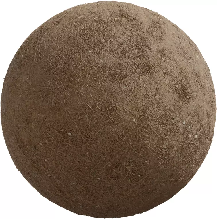 Dry Straw Covered Dirt Texture_0