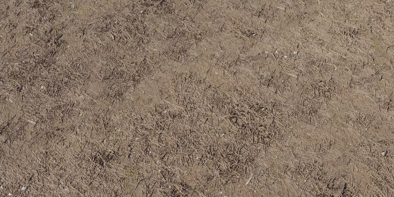 Dry Straw Covered Dirt Texture_1