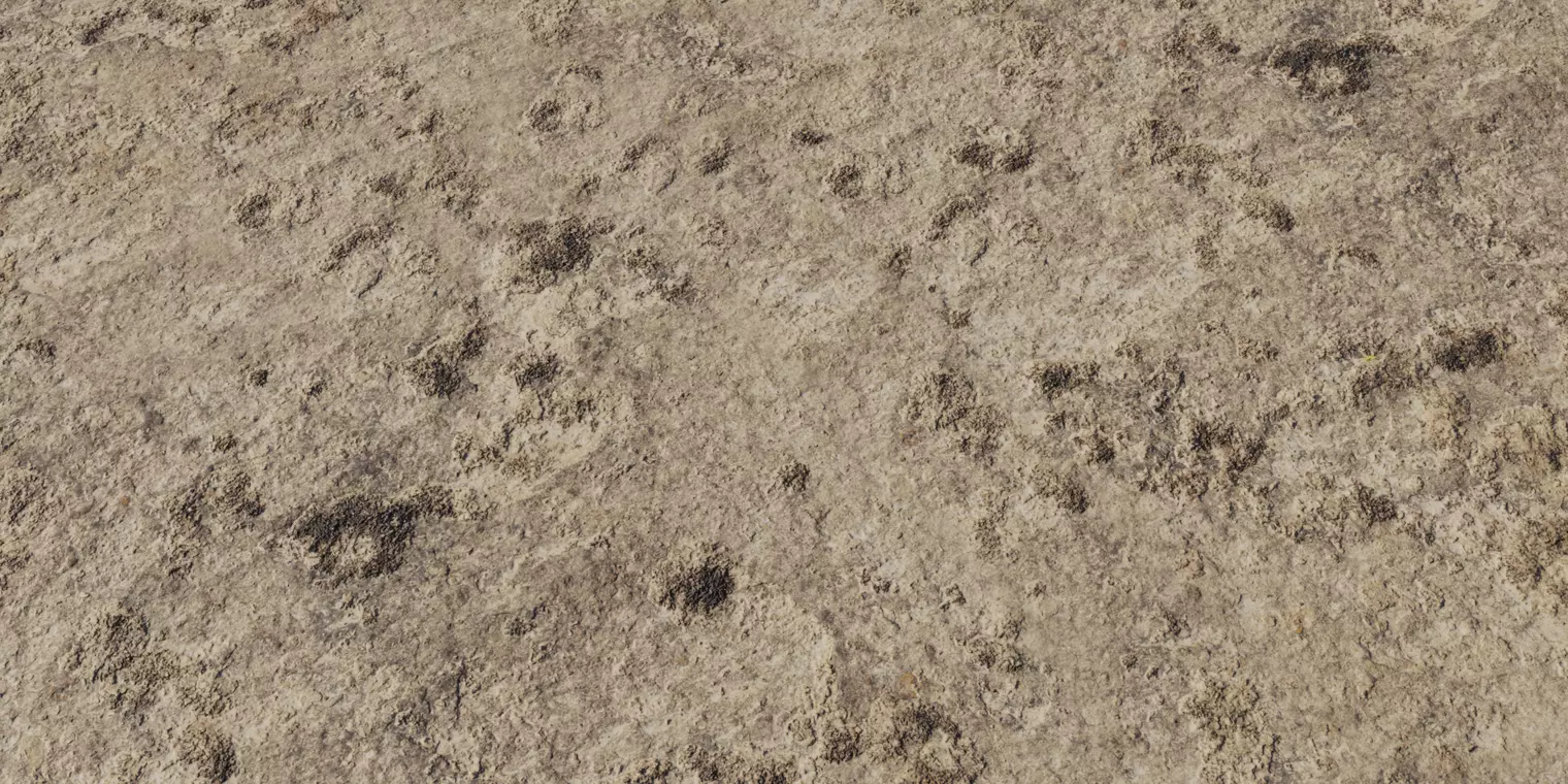 Dried Mud Plaster with Dark Patches Texture_1