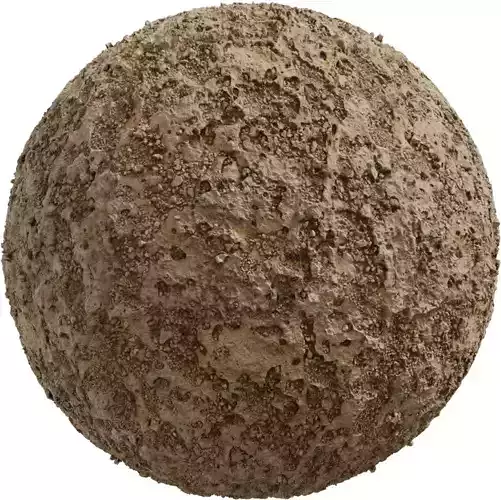 Sandy Mud with Coarse Aggregate