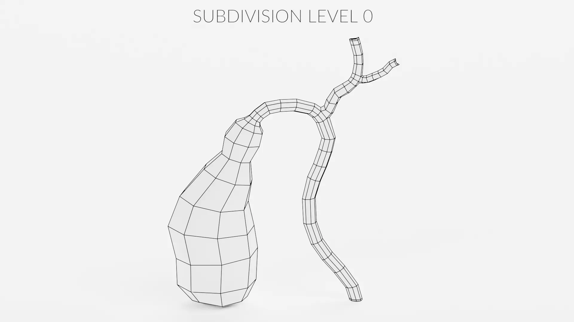 Gallbladder - Realistic Human Anatomy Low-poly 3D model_8