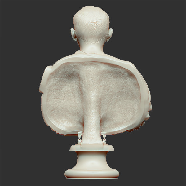 Printable bust of Marcus Porcius Cato the Censor 3D print model_5