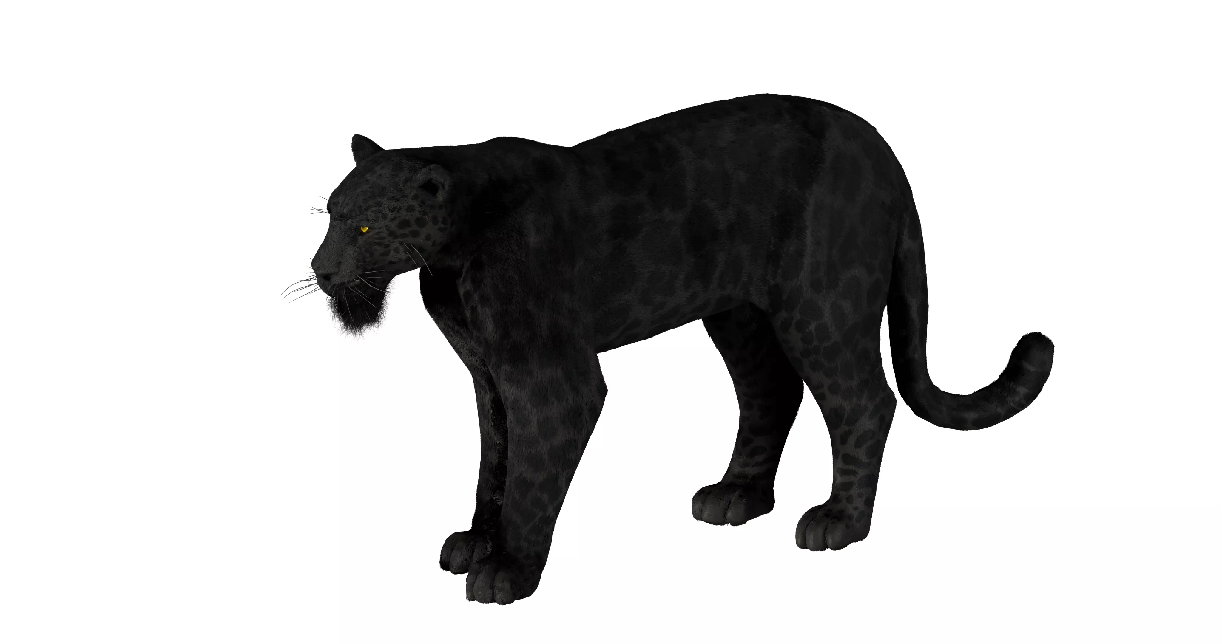 Black panther Jaguar Rigged EEVEE 3d Blender 4K model Free low-poly 3D model_3