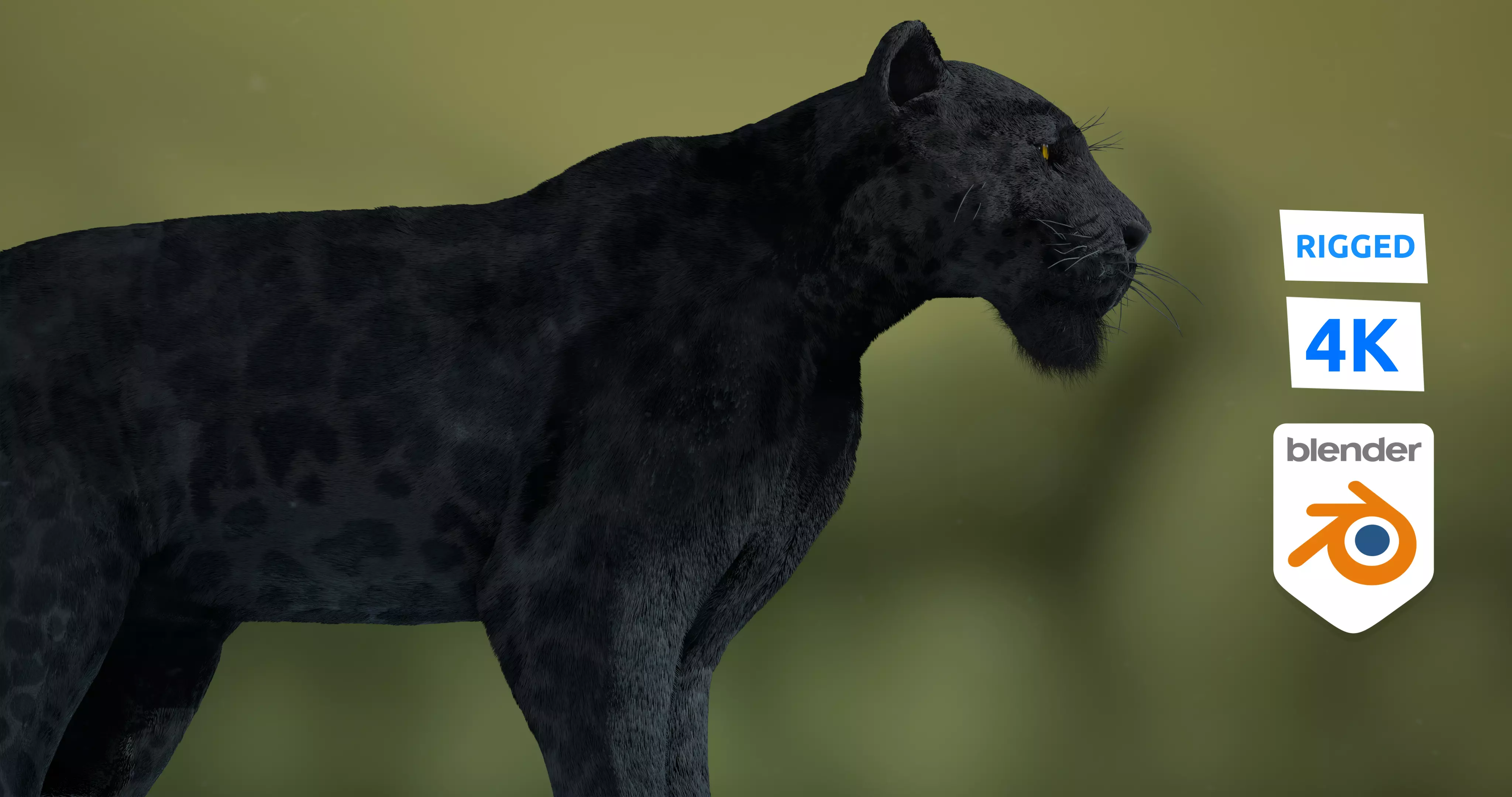 Black panther Jaguar Rigged EEVEE 3d Blender 4K model Free low-poly 3D model_5