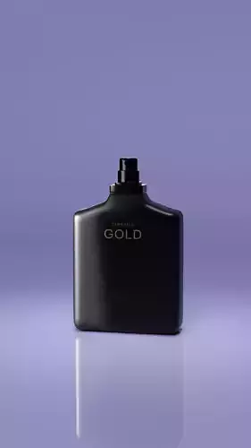 Anko Models Zara Perfume