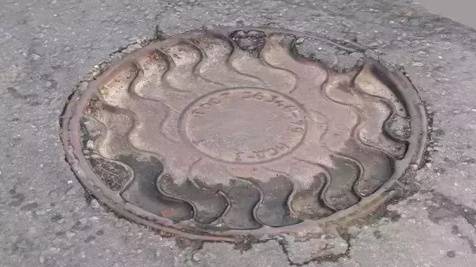 Manhole fossil